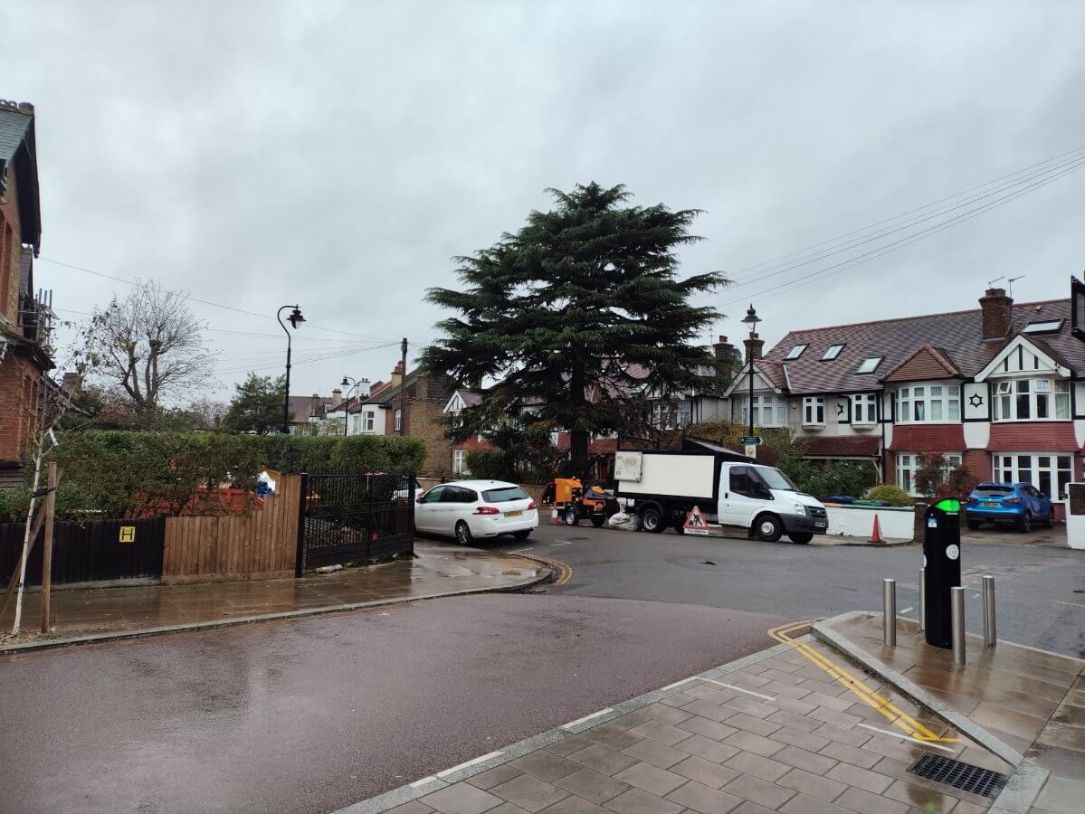 Allison Tree Surgery (1)